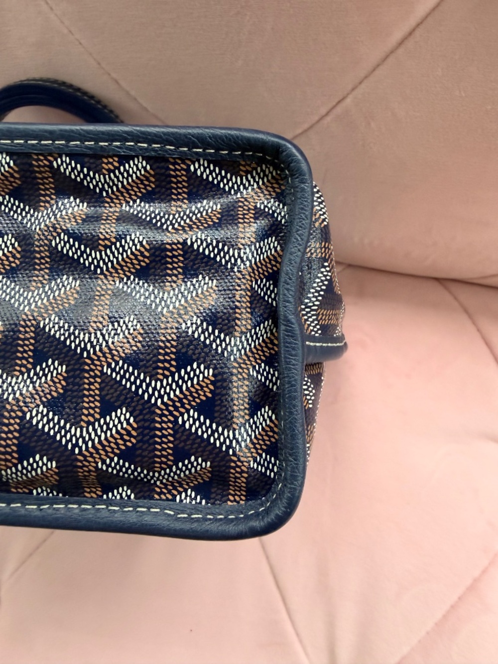 Goyard Mini Anjou Tote Bag - Picture 9 of 14